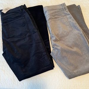 NWT The Loft High Rise Velvet Pants- 2 Pair